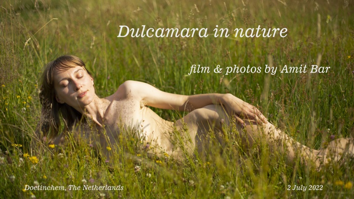 Dulcamara in nature