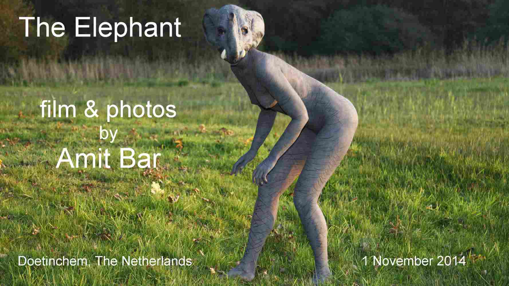 Elephant video: This film is part of my series Humans with Animals. In this case, woman as an animal, because it was difficult to get the real thing here in Holland.