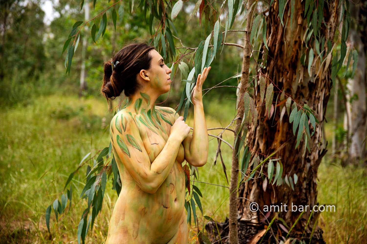 Eucalyptus grove I: Body-painted model in eucalyptus grove