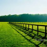 Field fence: Field fence in Beek, The Netherlands