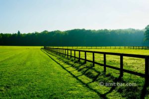 Field fence: Field fence in Beek, The Netherlands