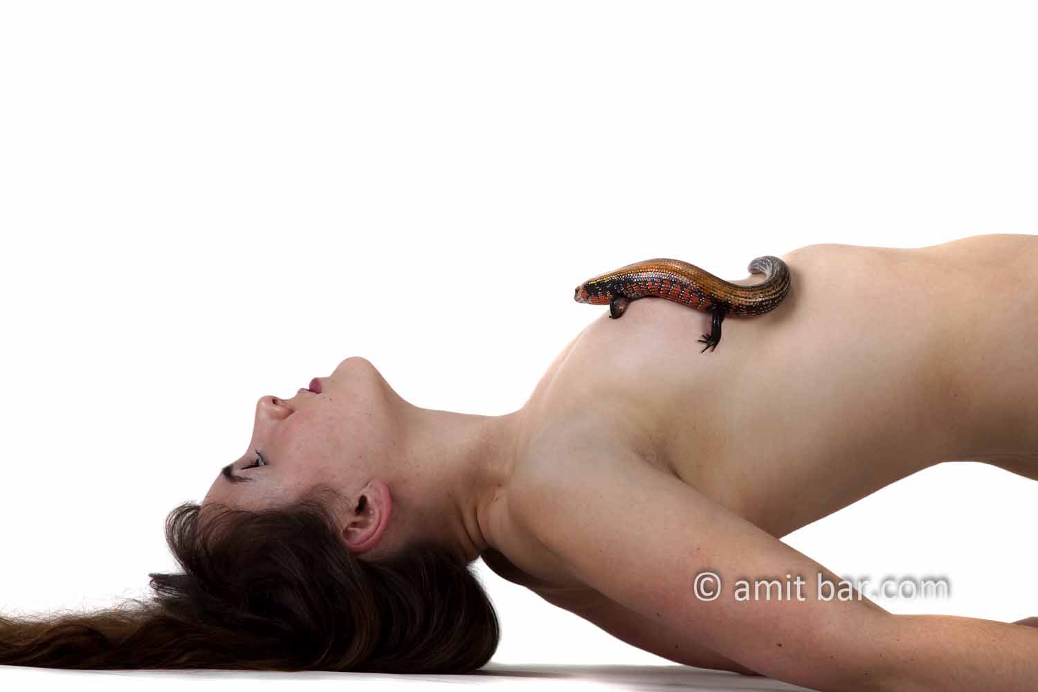Fire skink: Fire skink on the breast of nude model