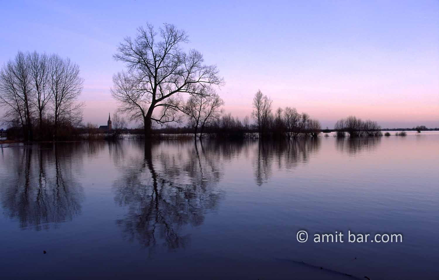 Flood in Doesburg II: Reflections of trees at Doesburg
