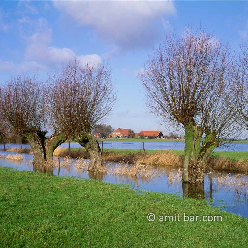 Flood in Doesburg III: Flood at De Griet. Doesburg