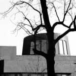 Forms: A tree in front of the town hall of Doetinchem, The Netherlands