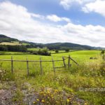 French hills: French hills at the Morvan
