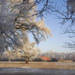 Frozen nature VI: Sunny frost with a farm-house