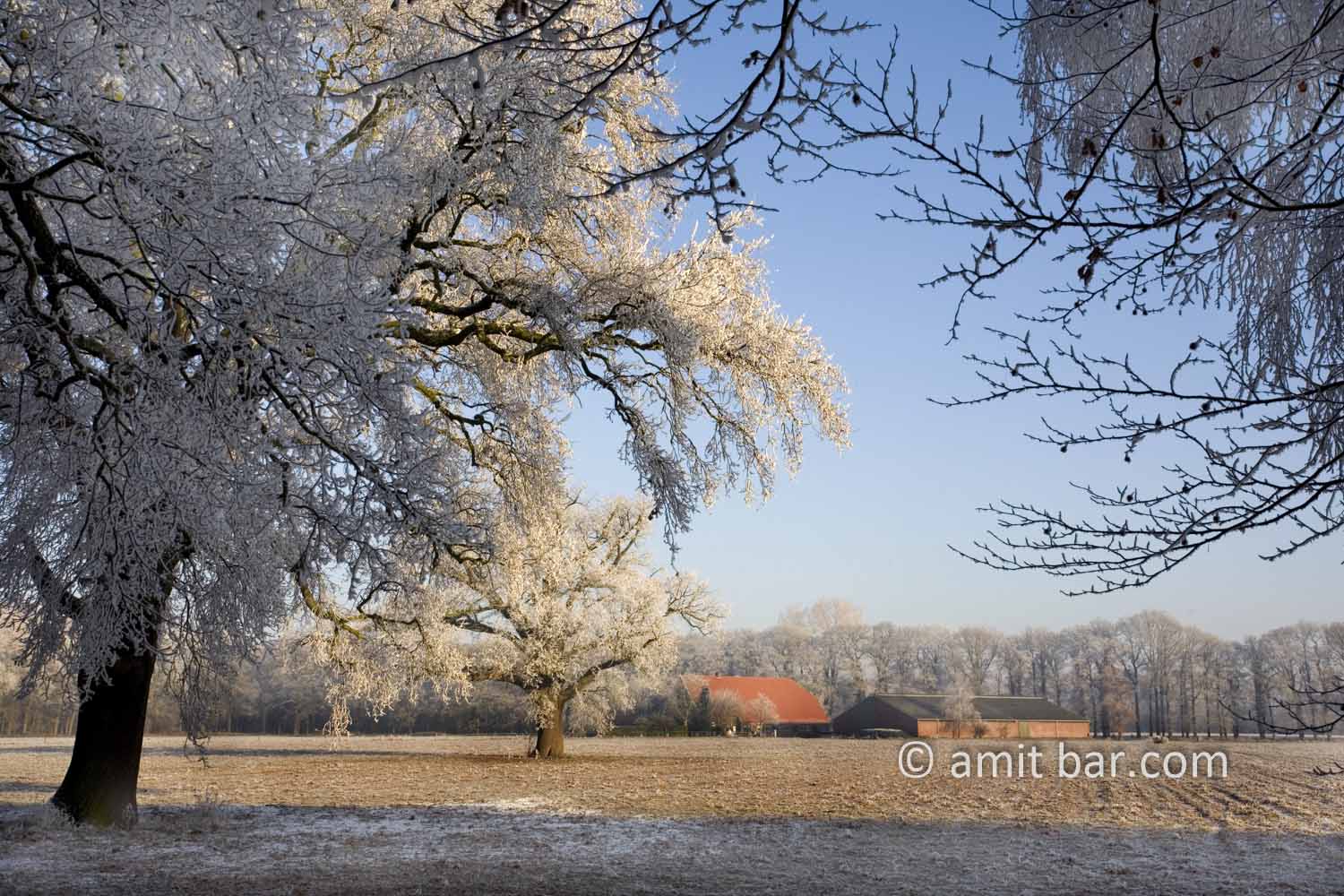 Frozen nature VI: Sunny frost with a farm-house