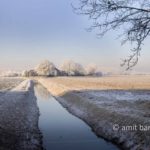 Frozen nature VII: Sunny frost with a trench