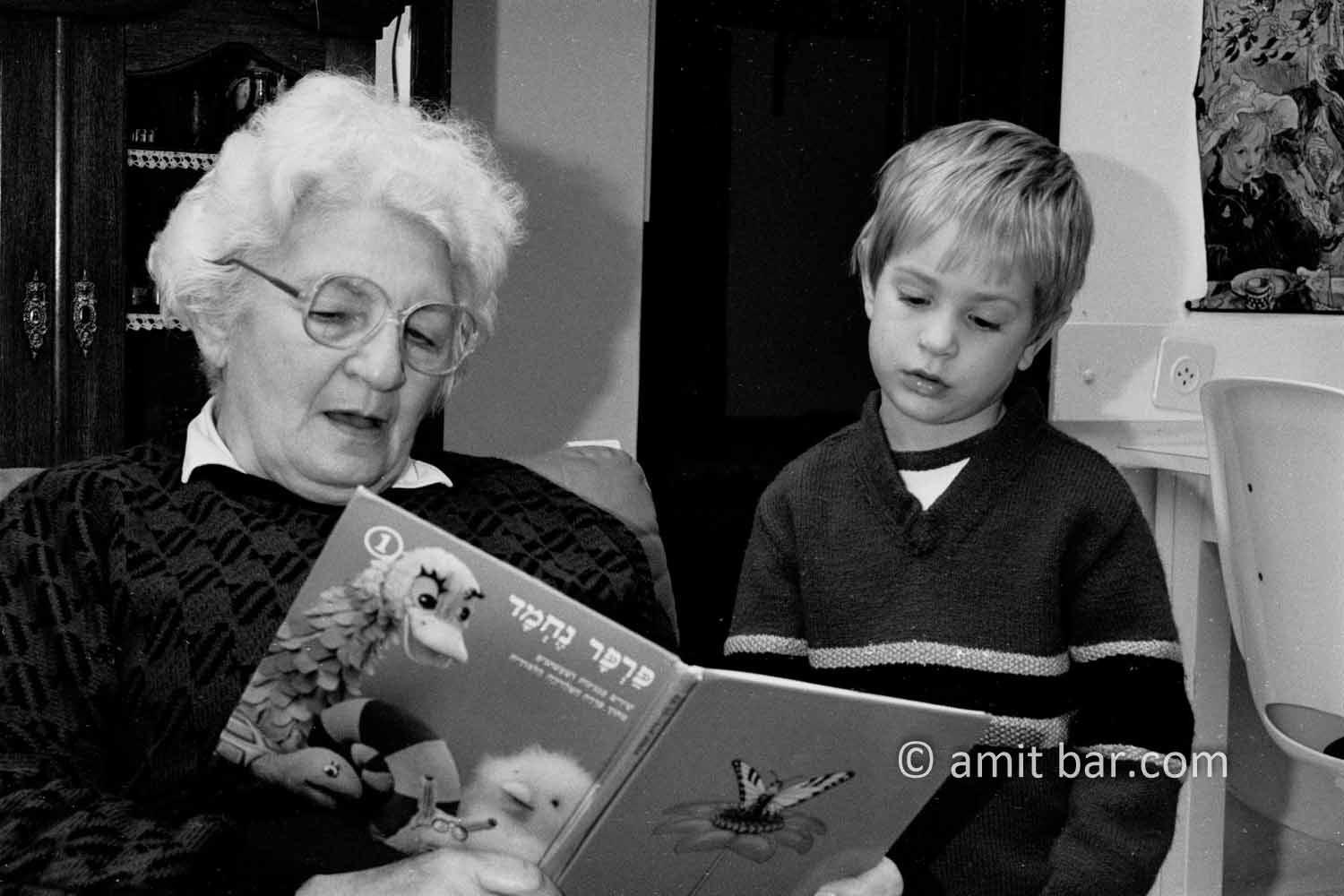 Generations III: Granmother is reading a story to her grandson
