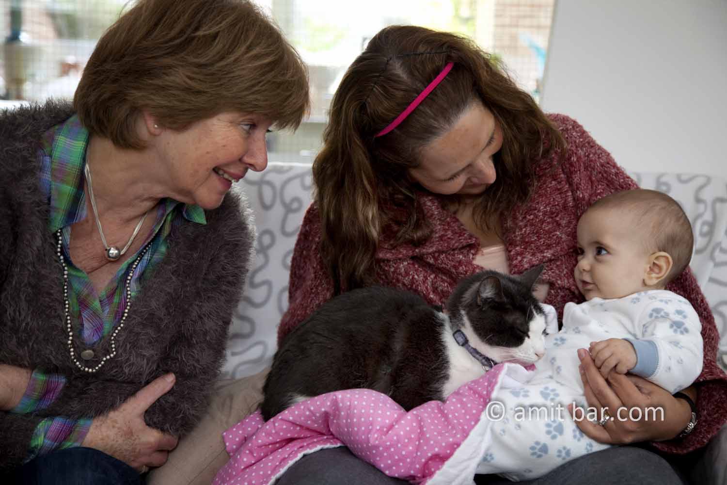 Generations IV: Grandmother,mother, baby and a cat