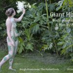 Giant Hoogweed video
