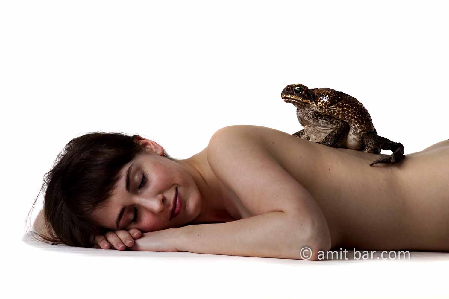 Giant toad: Giant toad on the back of a nude model