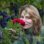 Grapes V: Body-painted model in the vineyard