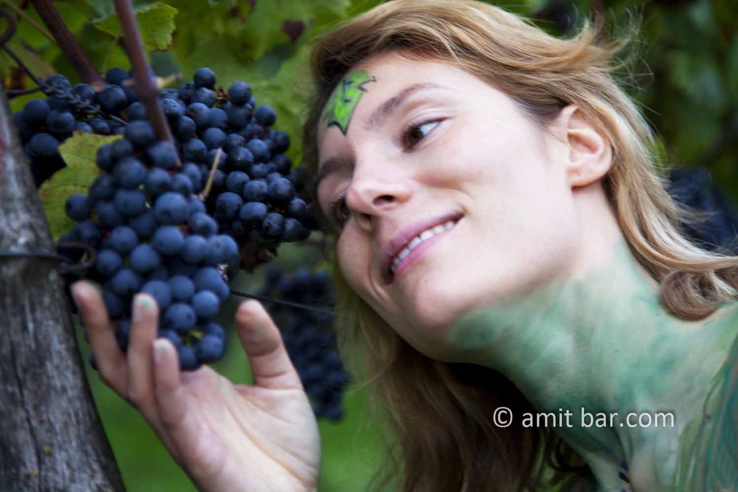 Grapes VI: Body-painted model in the vineyard