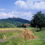 Haystack: haystack by a castle in the Czech Republic
