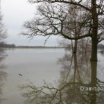 High water IJssel river I: Lots of rain in the Alps and Germany leads plenty of water to the rivers in The Netherlands. like the IJssel by Doesburg