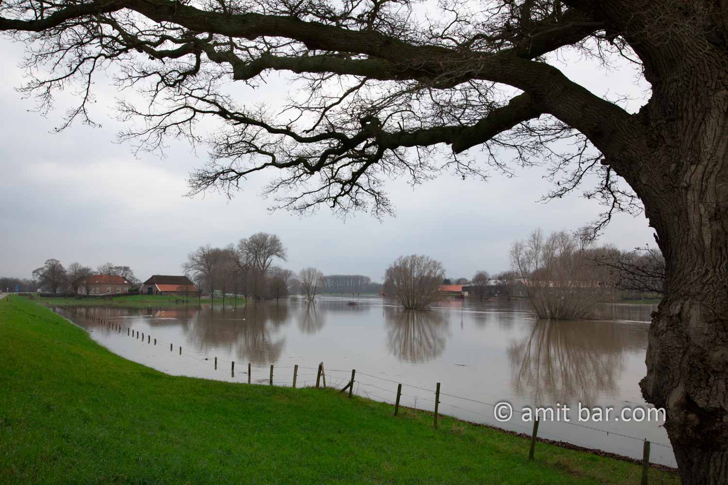 High water IJssel river V: Lots of rain in the Alps and Germany leads plenty of water to the rivers in The Netherlands. like the IJssel by Doesburg