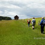 Hikers: Hikers on Swiss hill