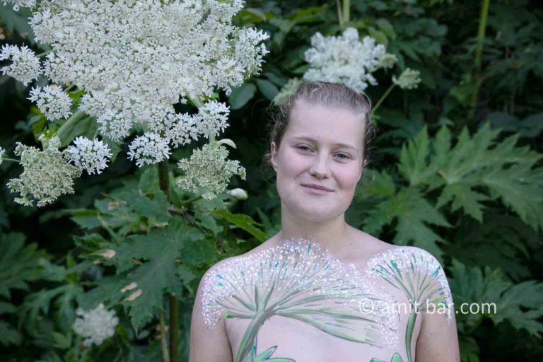 Giant Hogweed portraits