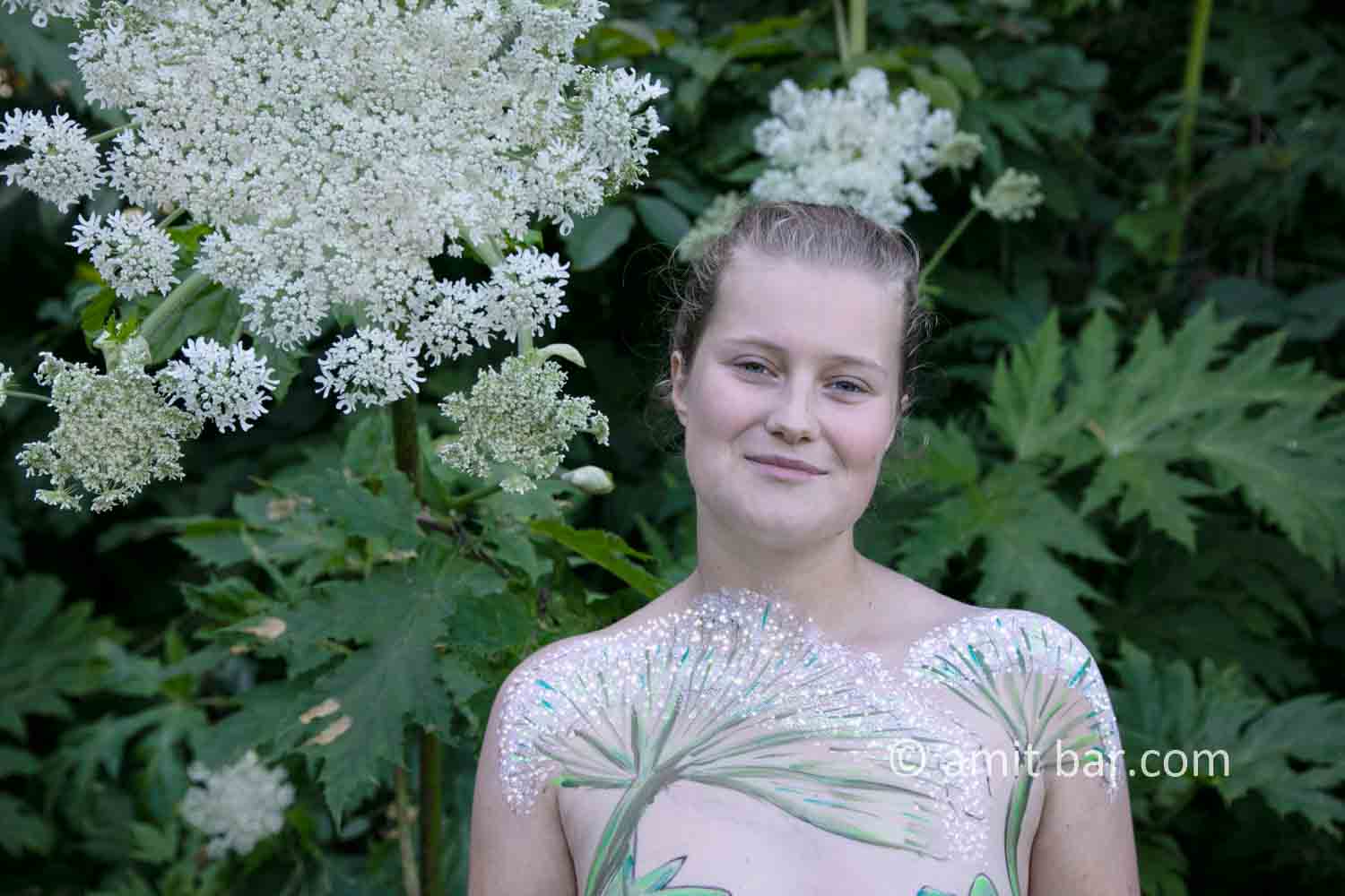 Hogweed plant portrait I: A Portrait of Shelly, who is walking along the beautiful Giant Hogweed plant