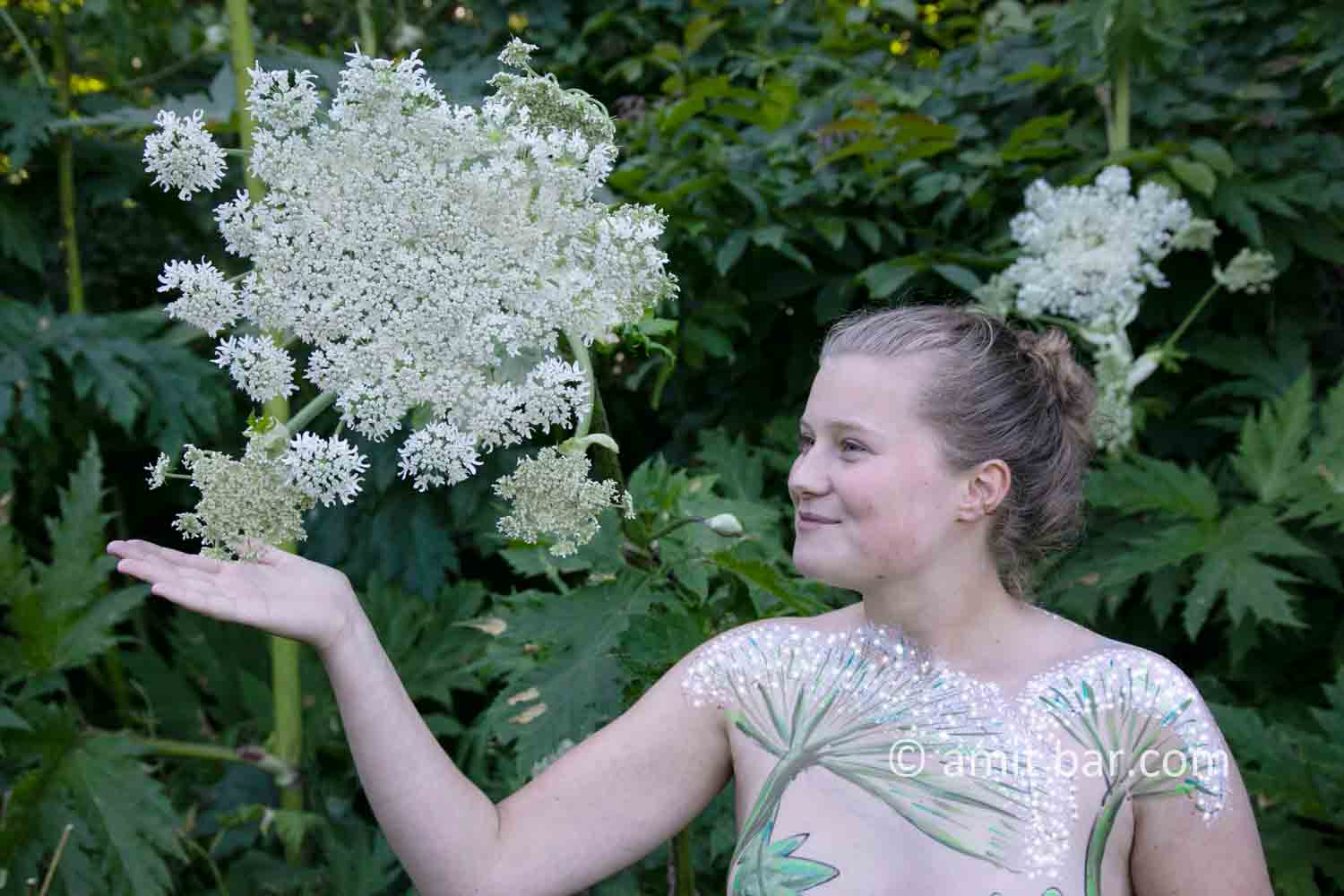 Hogweed plant portrait II: A Portrait of Shelly, who is walking along the beautiful Giant Hogweed plant