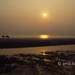 Horses at sunset II: Horses ride by the sea at sunet in Zeeland, The Netherlands