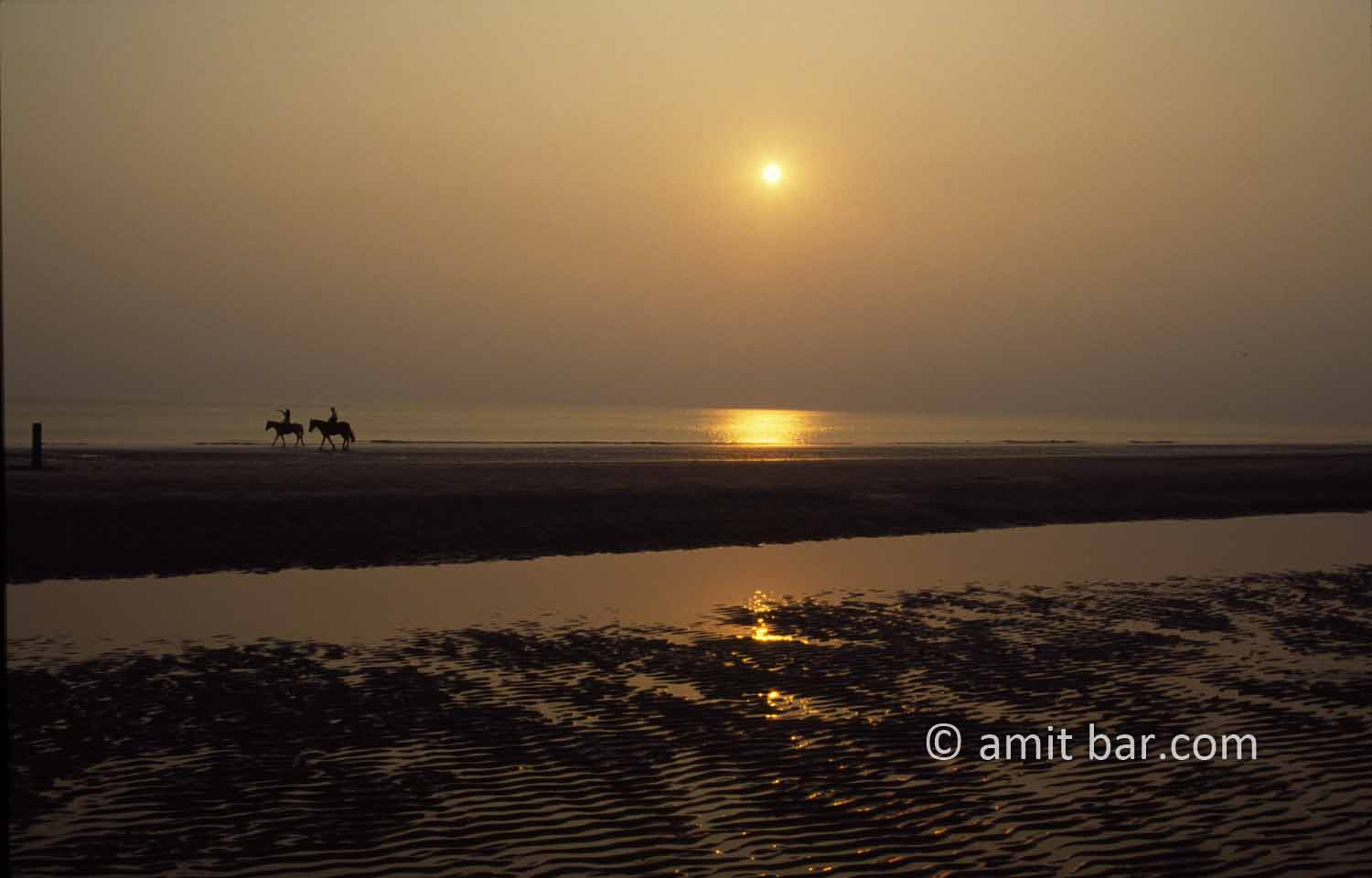 Horses at sunset II: Horses ride by the sea at sunet in Zeeland, The Netherlands