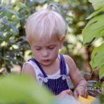 In the garden: A child walking in his garden