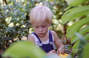 In the garden: A child walking in his garden