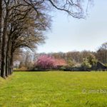 Landscape Spring 2021 I: Spring time in the Achterhoek, The Netherlands