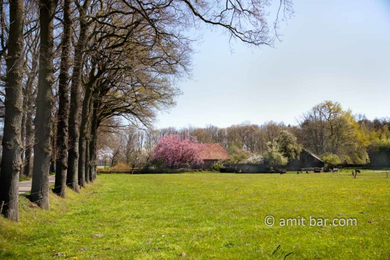 Landscape Spring 2021