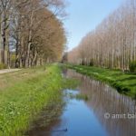 Landscape Spring 2021 II: Spring time in the Achterhoek, The Netherlands