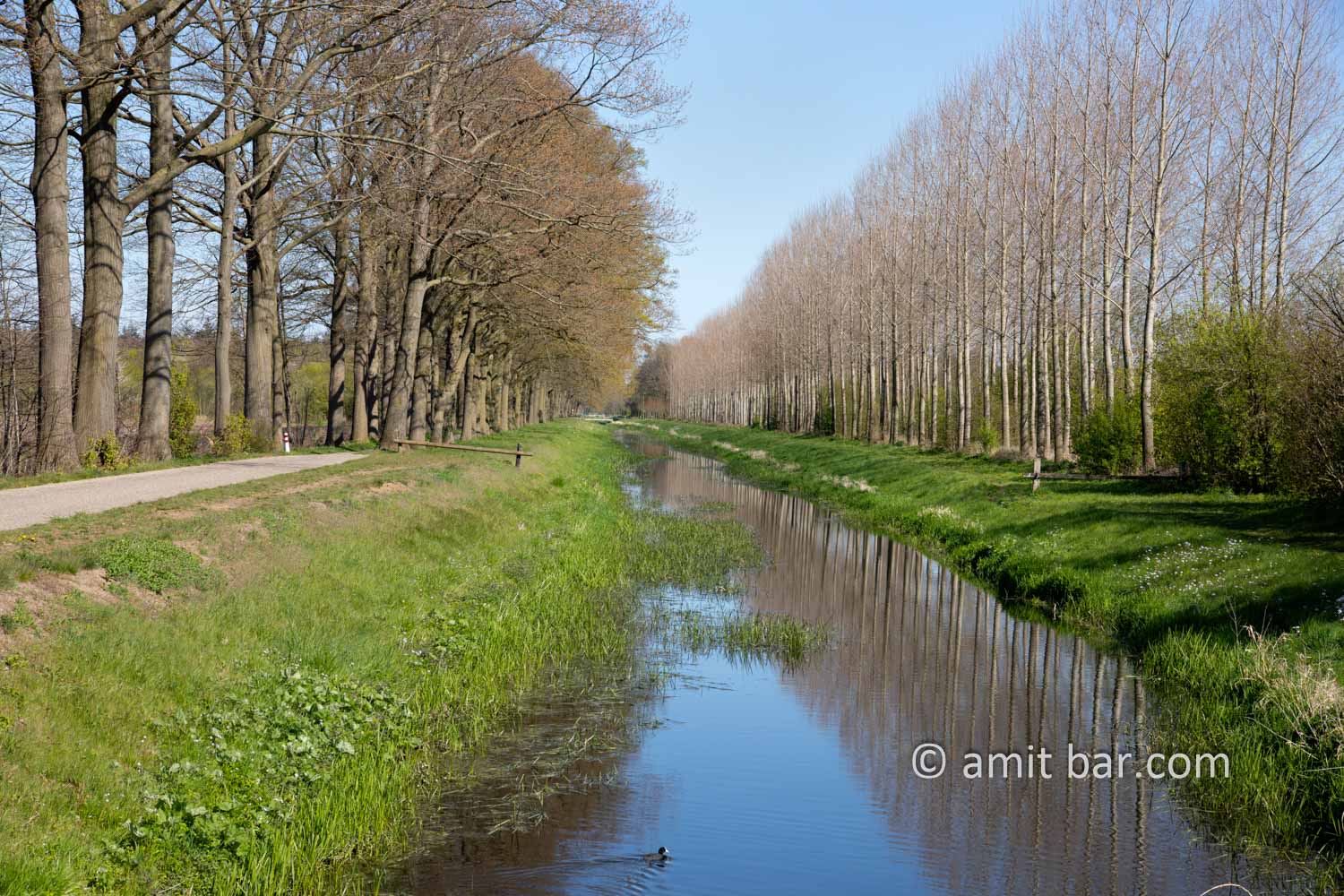Landscape Spring 2021 II: Spring time in the Achterhoek, The Netherlands