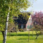 Landscape Spring 2021 III: Spring time in the Achterhoek, The Netherlands