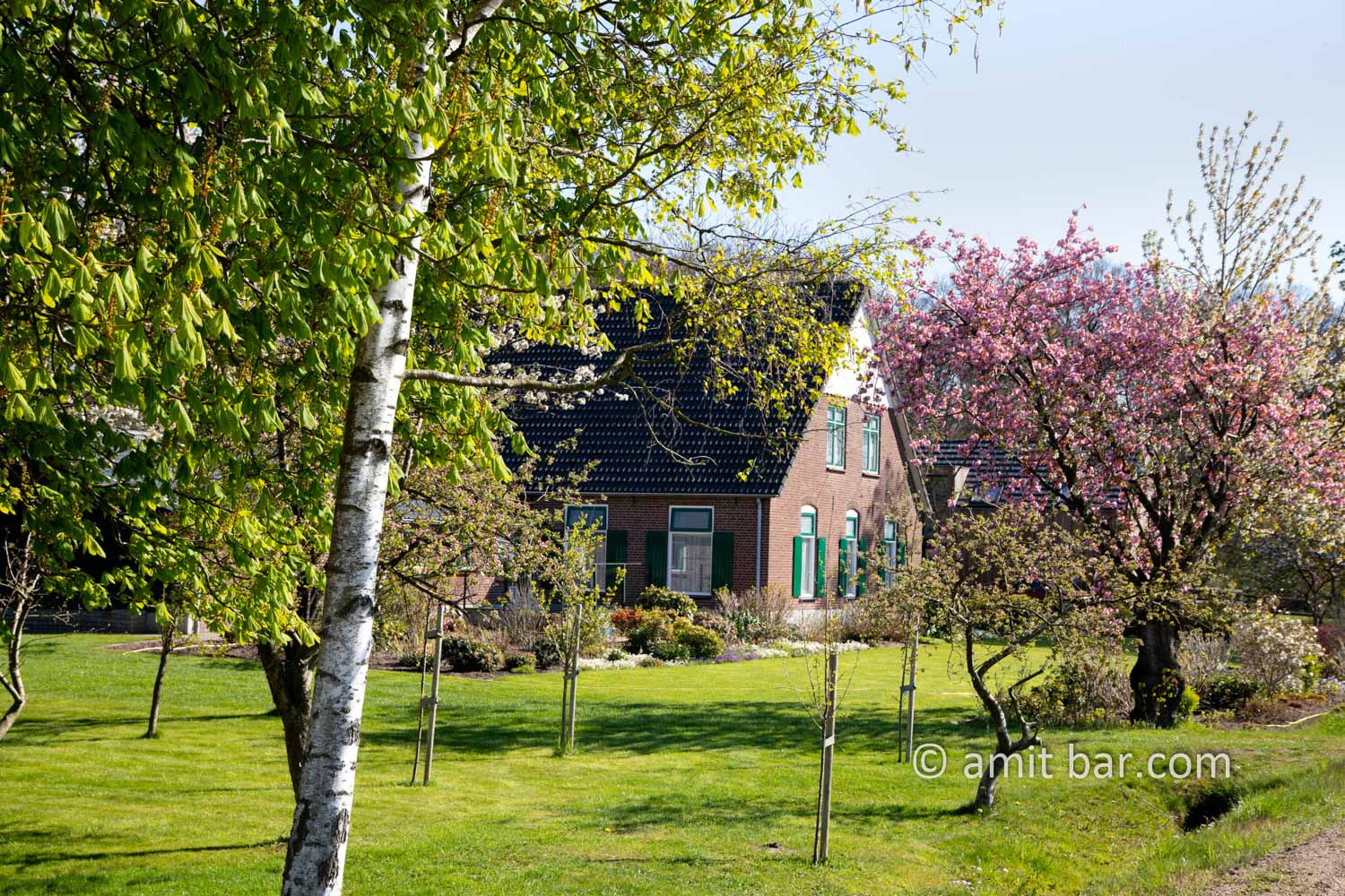 Landscape Spring 2021 III: Spring time in the Achterhoek, The Netherlands