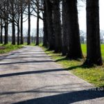 Landscape Spring 2021 IV: Spring time in the Achterhoek, The Netherlands