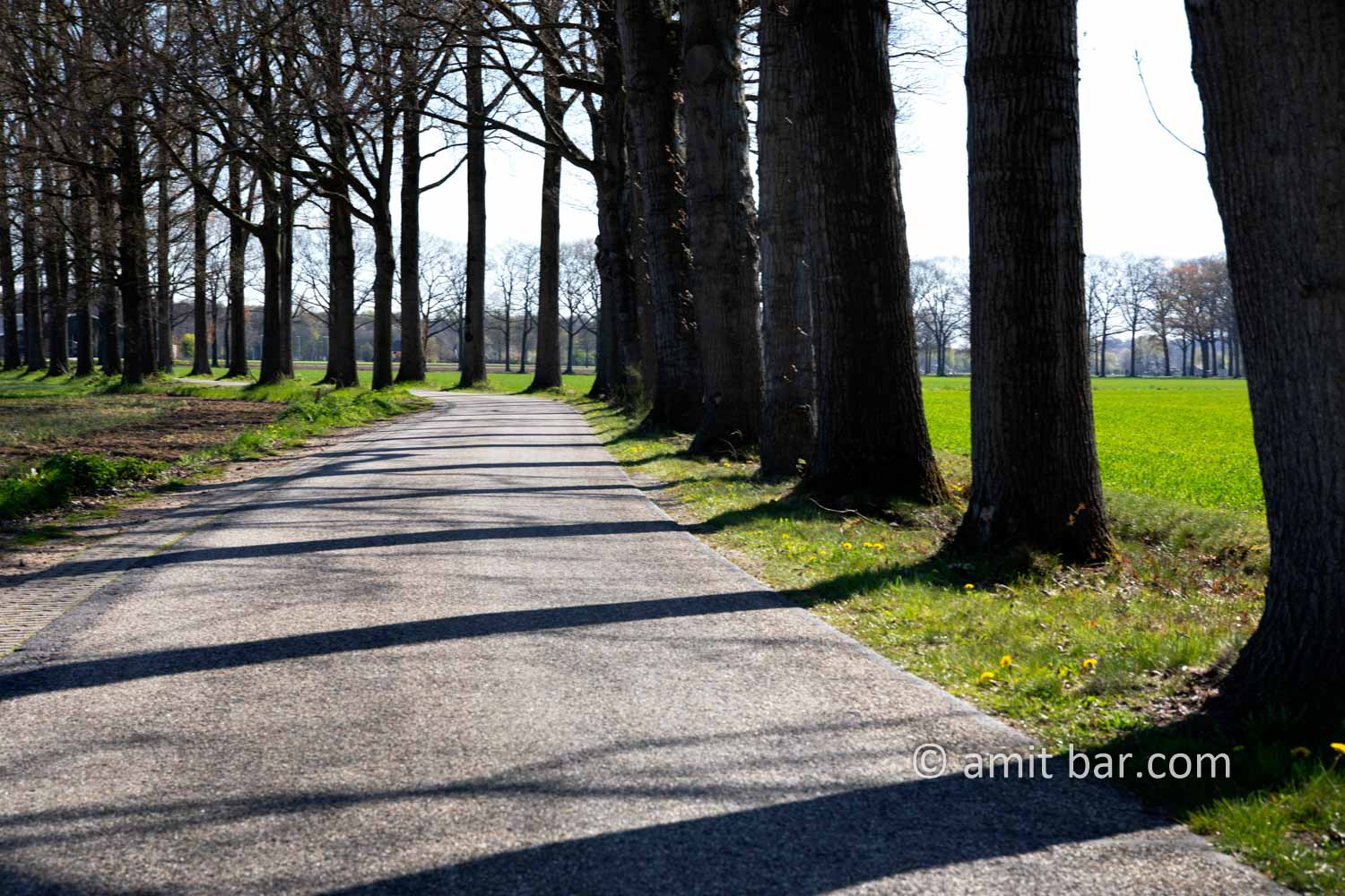 Landscape Spring 2021 IV: Spring time in the Achterhoek, The Netherlands