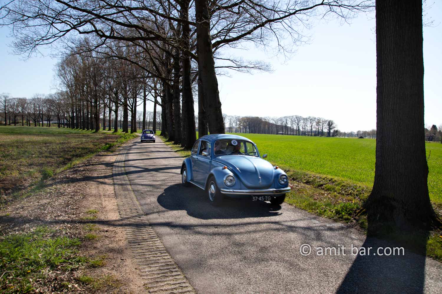 Landscape Spring 2021 V: Spring time in the Achterhoek, The Netherlands