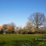 Landscape Spring 2021 VI: Spring time in the Achterhoek, The Netherlands