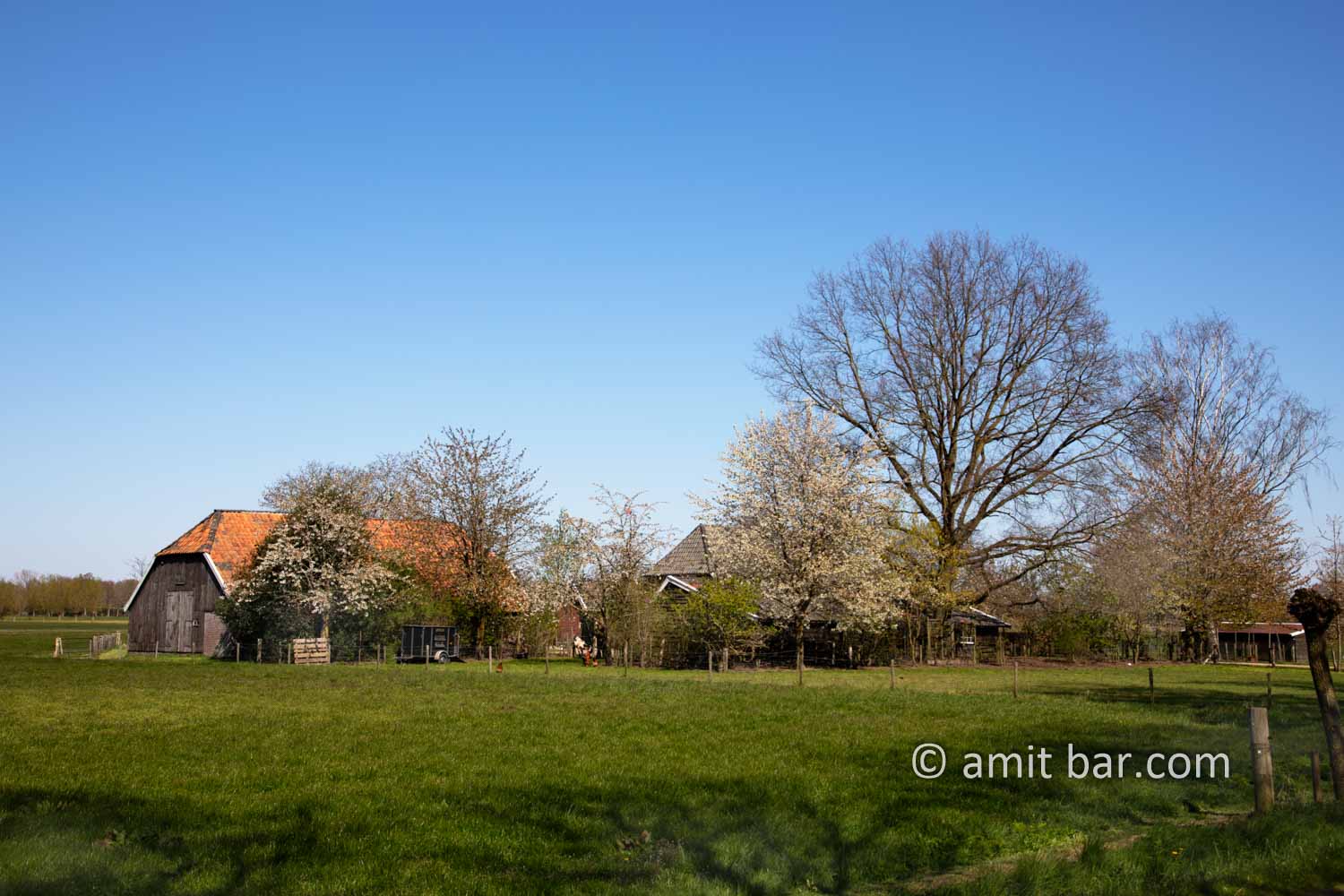 Landscape Spring 2021 VI: Spring time in the Achterhoek, The Netherlands