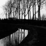 Lane reflection: Reflection of a tree lane in the canal at Gaanderen, The Netherlands