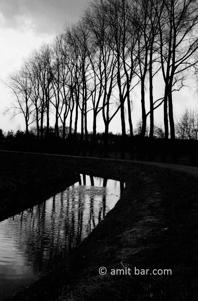 Lane reflection: Reflection of a tree lane in the canal at Gaanderen, The Netherlands
