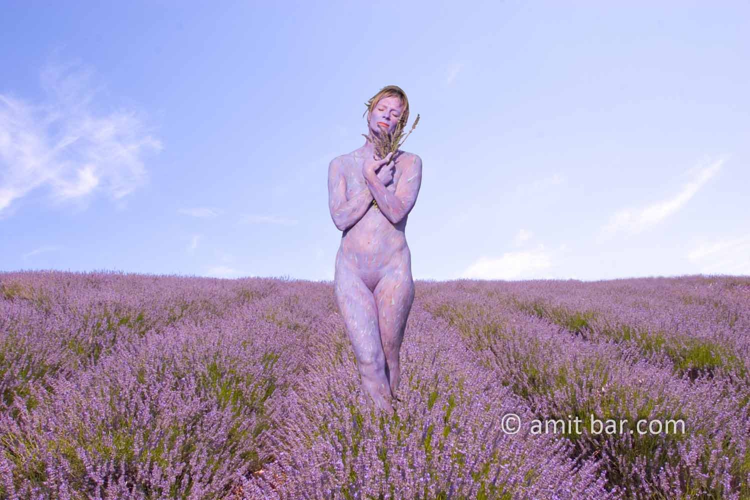 Lavender I: Bodypainted model in the Provence, France