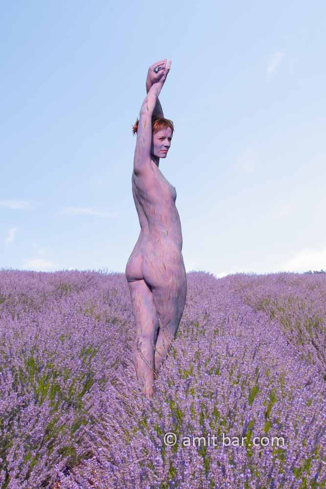 Lavender II: Bodypainted model in the Provence, France