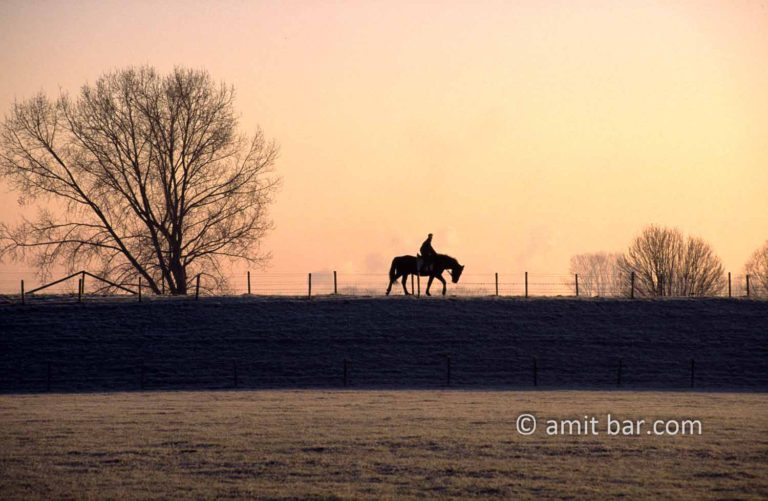 Lonely horseman on the dike