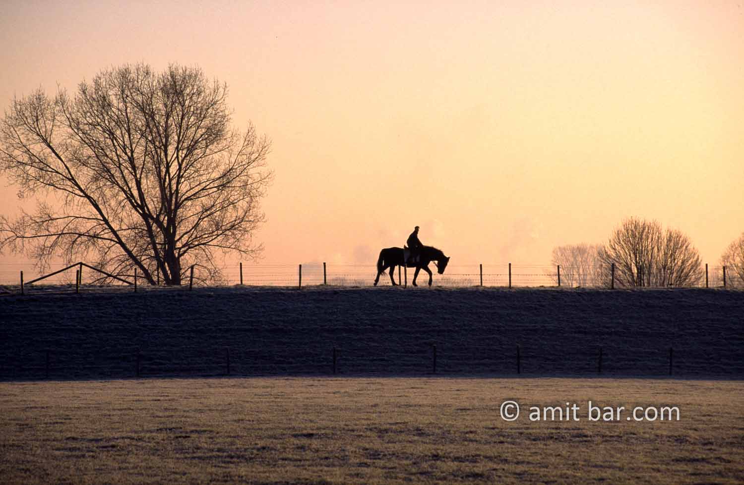 Lonely horseman on the dike: Lonely horseman on the dike by Vierakker, The Netherlands