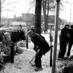 Look at me, babe: A cattle-farmer tries to view a shy cow