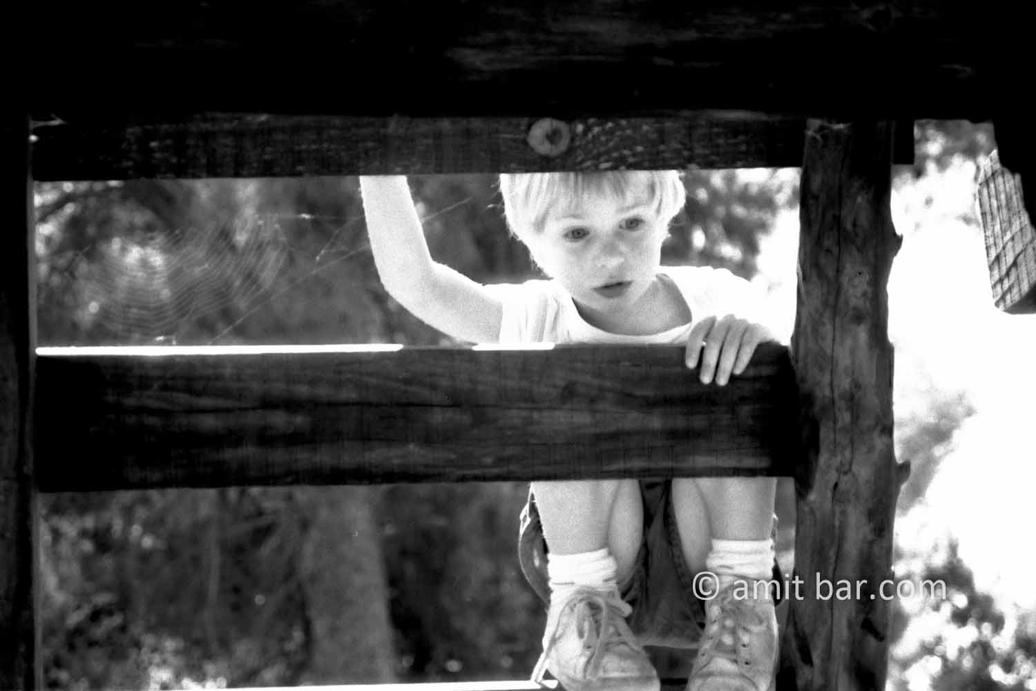 Looking from the ladder: A child is looking down from a ladder