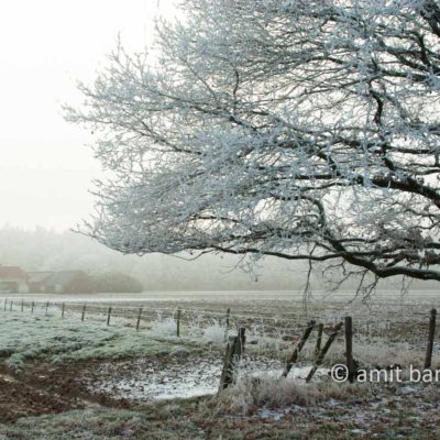 Mist and frost